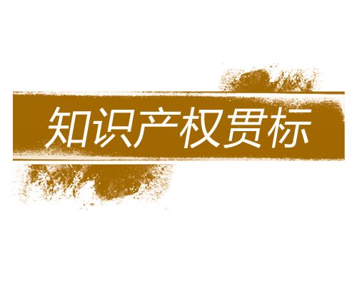 深圳知識產(chǎn)區(qū)貫標大概多少錢？費用范圍包括哪些？