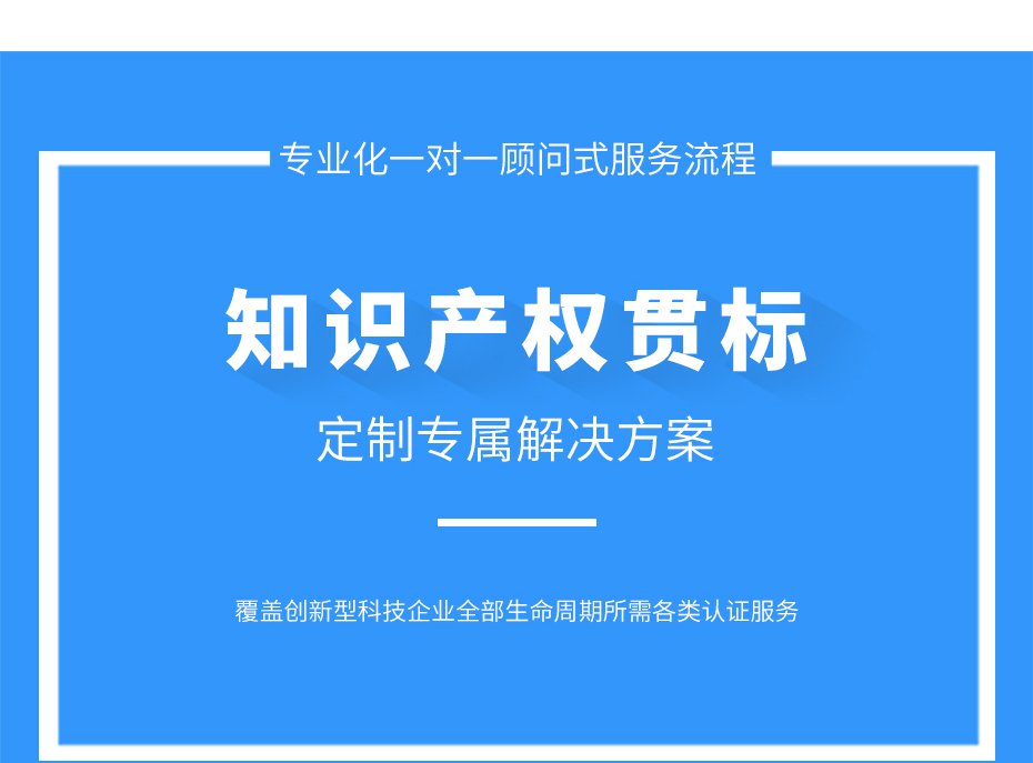 知識產(chǎn)權(quán)貫標(biāo)_05